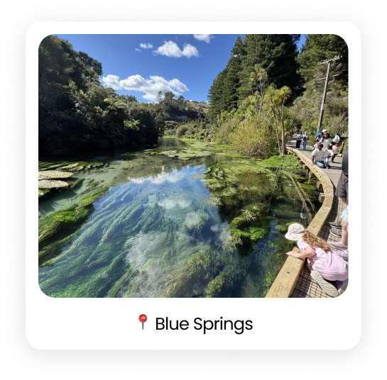 blue-springs